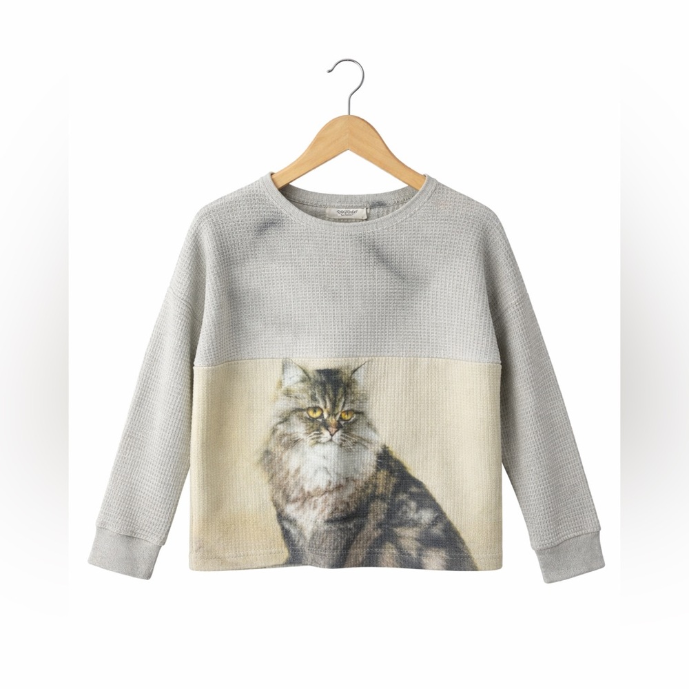 PopUpShop Cat Print Thermal Sweatshirt Kids Size 2/3 Gray Long Sleeve Top